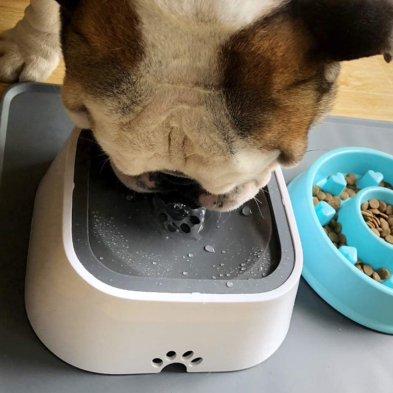 NoSpill™ - Anti-søl vannbrett for hunder