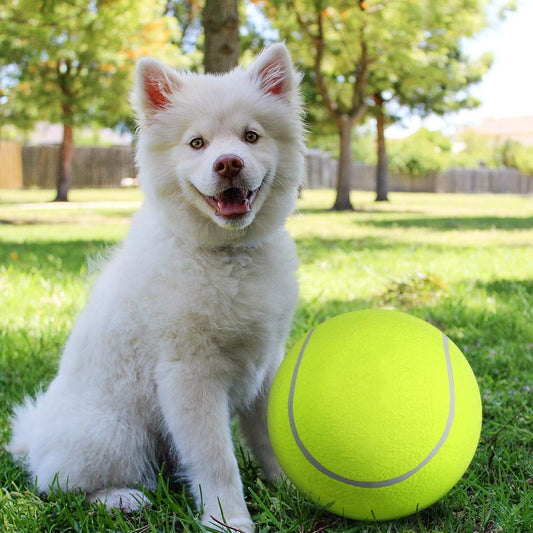 FuzzyBall™ | Sikker og morsom måte å leke for alle typer hunder
